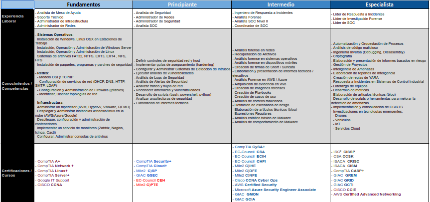 Desarrollo profesional en blueteam (defensa)
